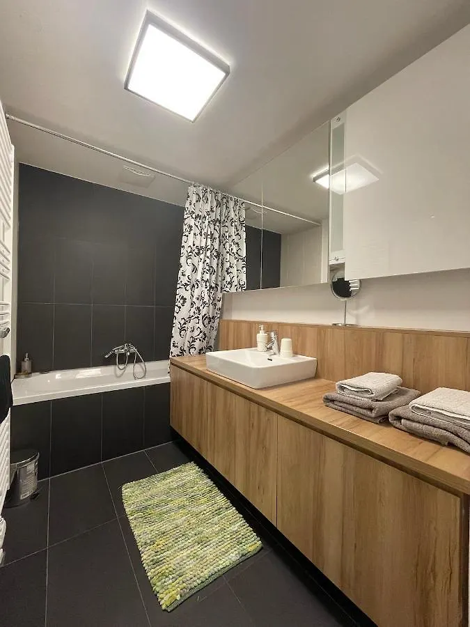 Modern Danube Apartment Vienna