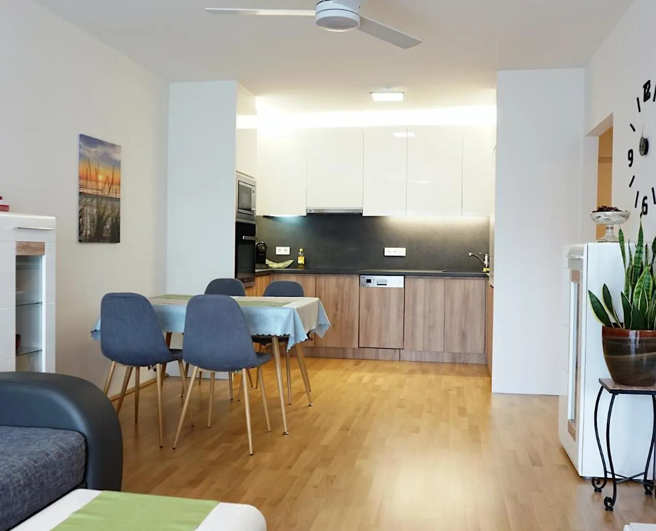 Modern Danube Apartment Vienna Austria