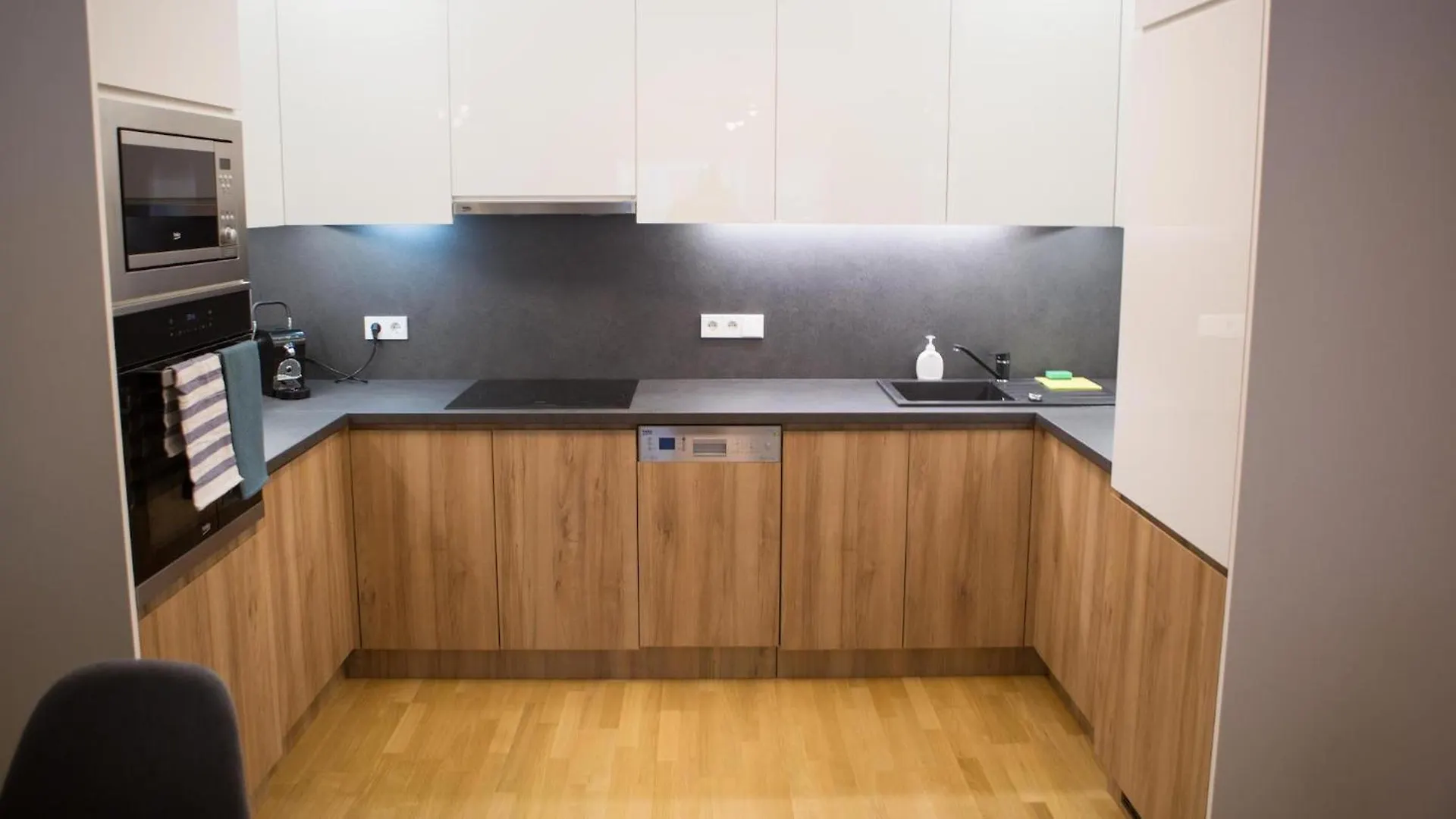 Modern Danube Apartment Vienna Austria
